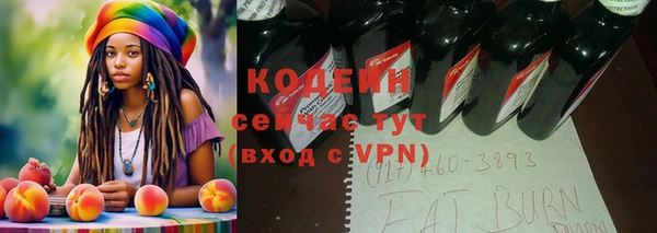прущий лед Ельня