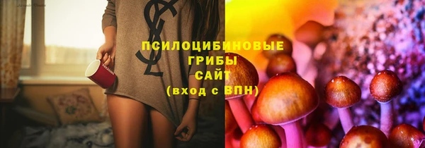 прущий лед Ельня