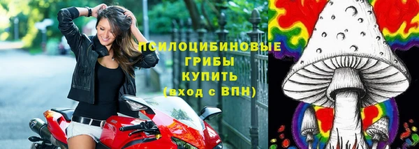 соль курить ск Елизово